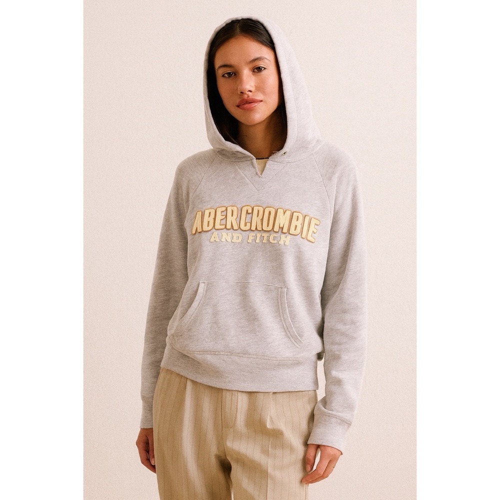 Vintage Y2K Abercrombie‎ & Fitch Raised Spellout Fitted Hoodie Sweatshirt Gray L
